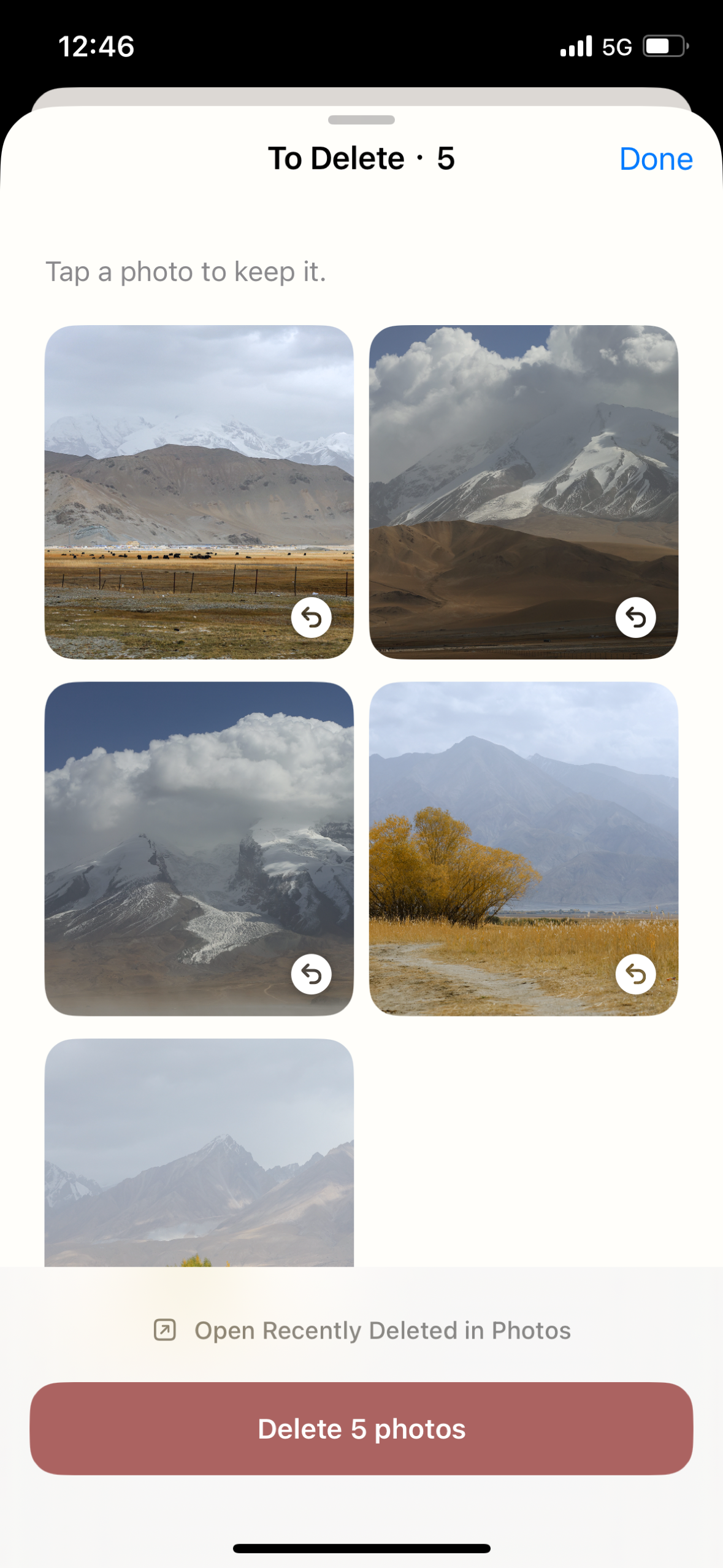 Review marked photos before confirming deletion